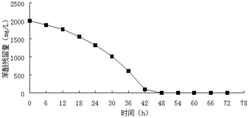 Microbacterium sp. strain and application thereof