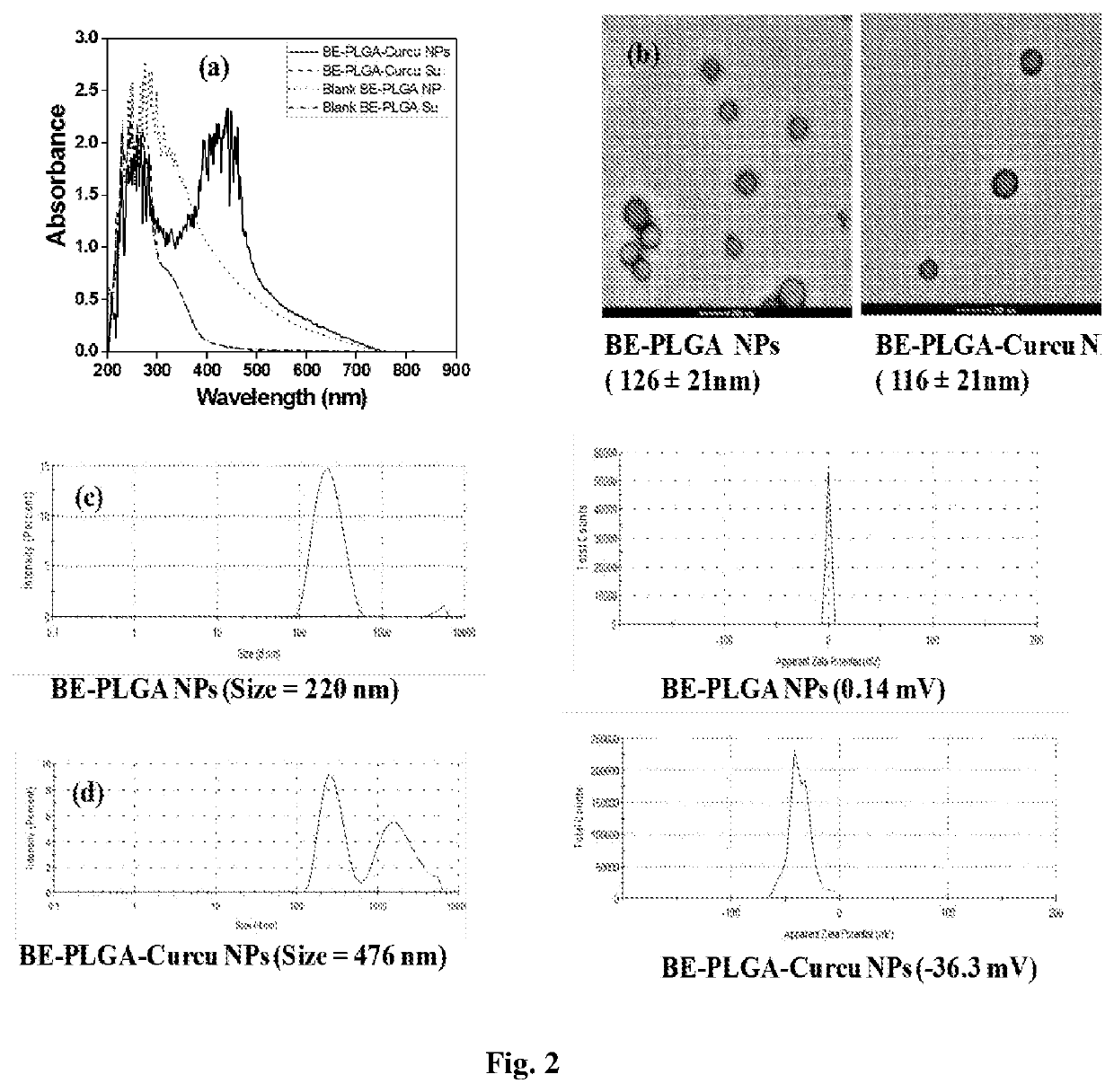 A curcumin loaded stabilized polymeric nanoparticles with increased solubility and photo-stability and a green process for the synthesis thereof