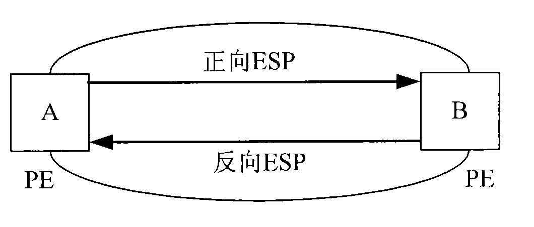 Method and device for establishing pseudowire mapping