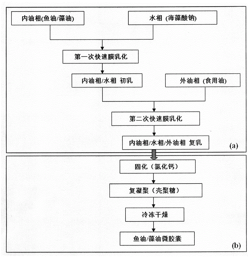 Novel micro-nanometer grade fish oil/algae oil microcapsule and preparation process thereof