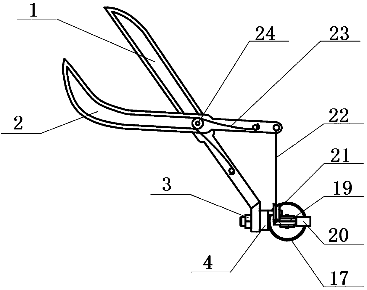 Tree seed collecting machine with adjustable shear plane and using method of tree seed collecting machine