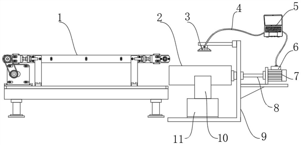 Poultry seedling sorting system based on convolutional neural network