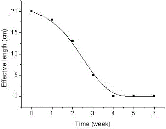 Gradient degradable polymer material and preparation method thereof