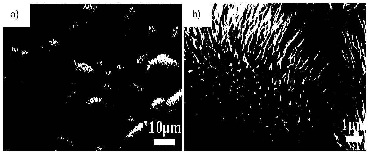 Preparation method of a three-dimensional composite CO3O4-Si-C negative electrode material