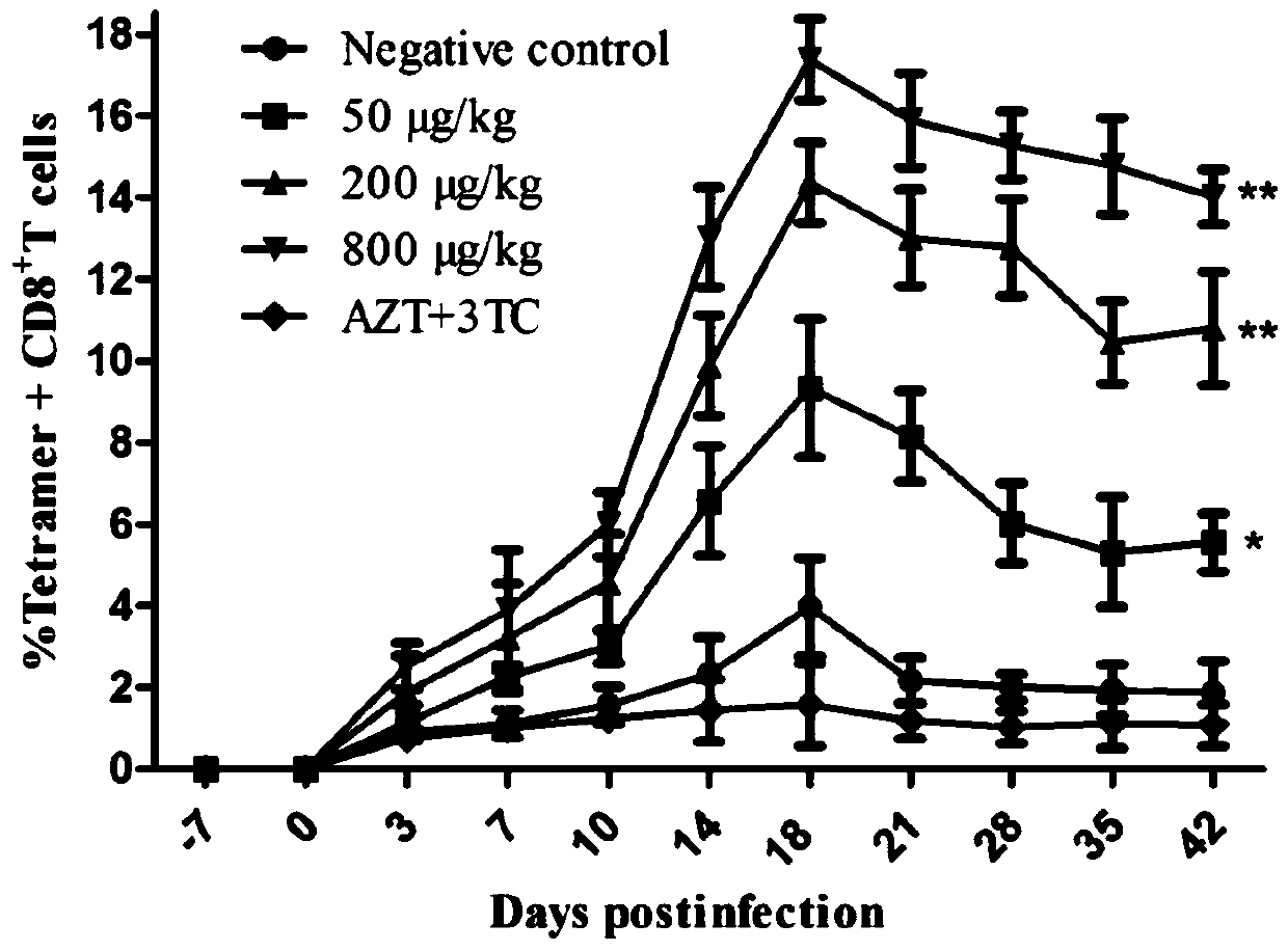 VMIP-II for inducing dephosphorylation of CD8&lt;+&gt; T cells to form Tcm and application of vMIP-II in medicines