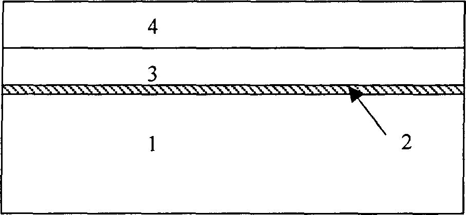 Self-cleaning household appliance glass capable of shielding electromagnetic radiation and its prepn