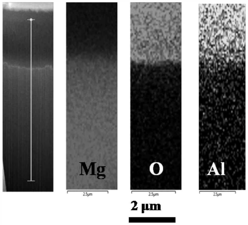 A bisphosphonate drug-intercalated hydrotalcite medical magnesium alloy coating and its preparation method and application