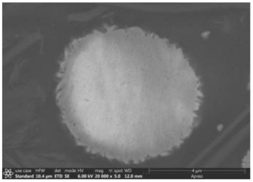 Metal vanadate compound co-doped high-nickel ternary precursor and preparation method thereof