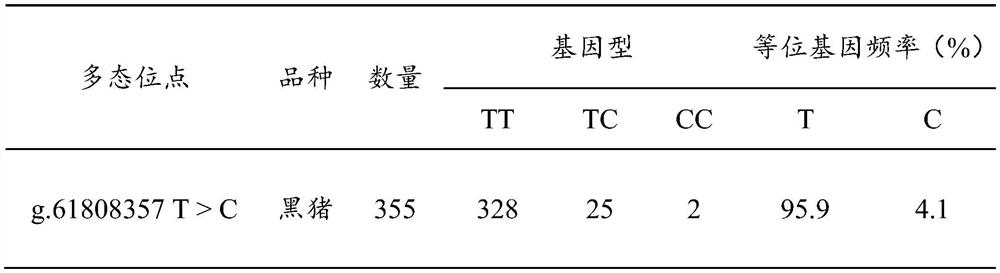 Application of pig SNP (Single Nucleotide Polymorphism) molecular marker in screening of reproductive traits and breeding of pigs