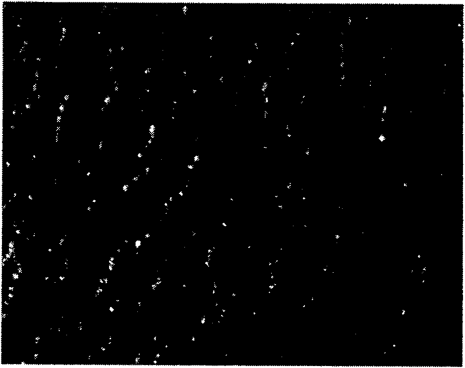 Method for spray coating of crackle lacquer