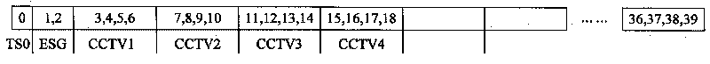 Device, method and terminal for simultaneously displaying multiple programs