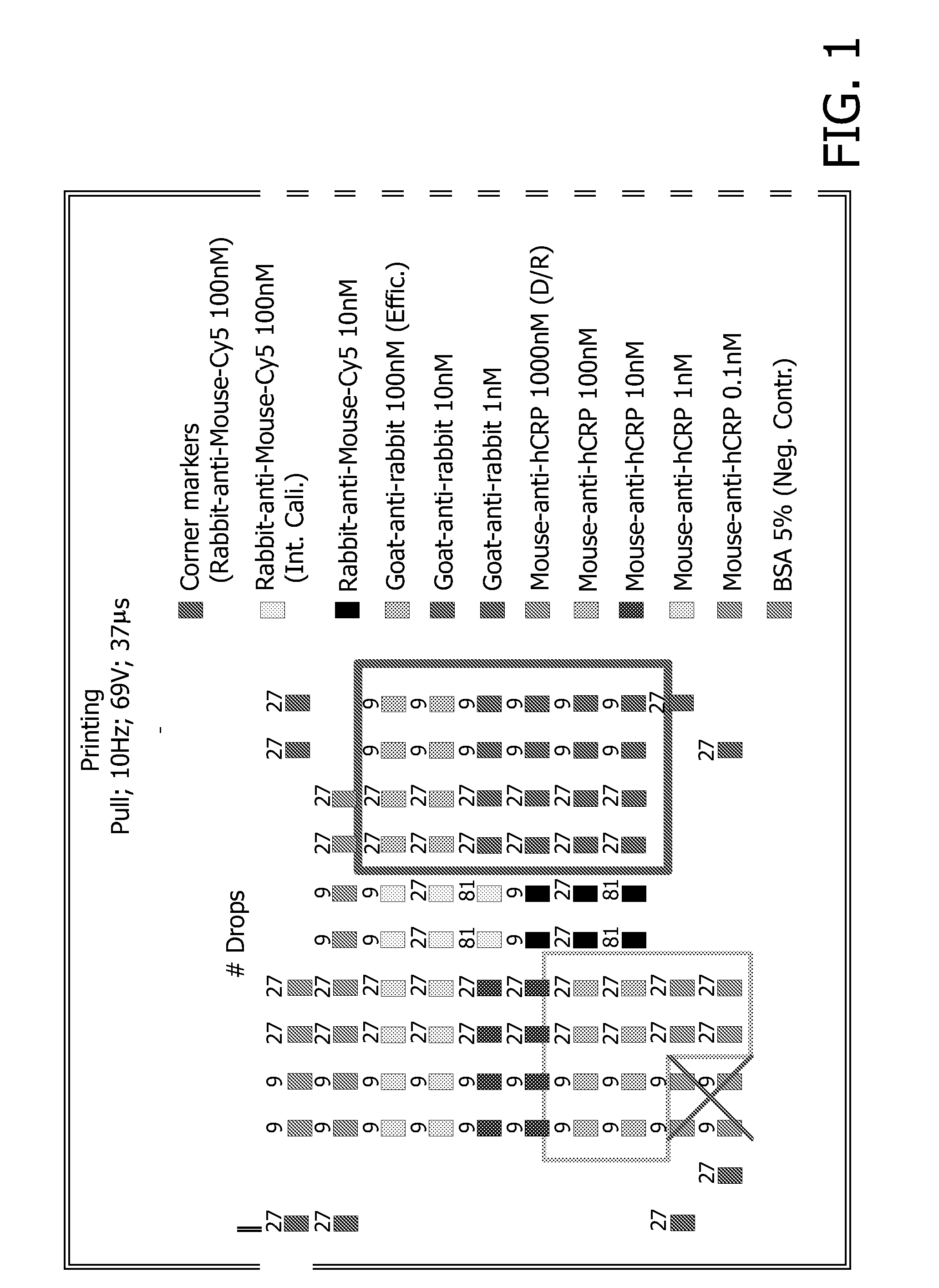 Method of determining the concentration of an analyte using analyte sensor molecules coupled to a porous membrane