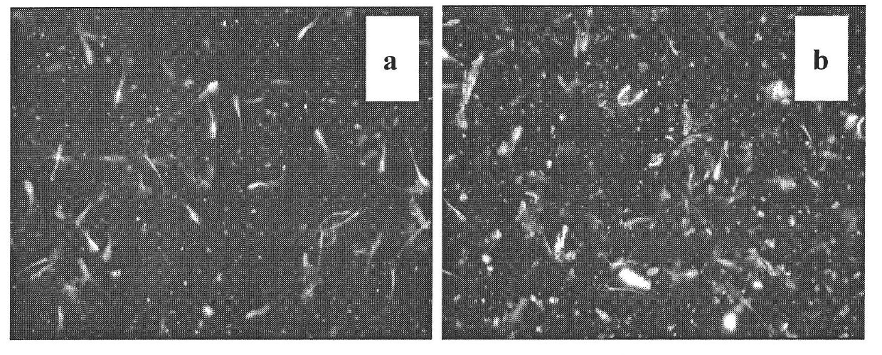 Novel preparation method of yolk diluent