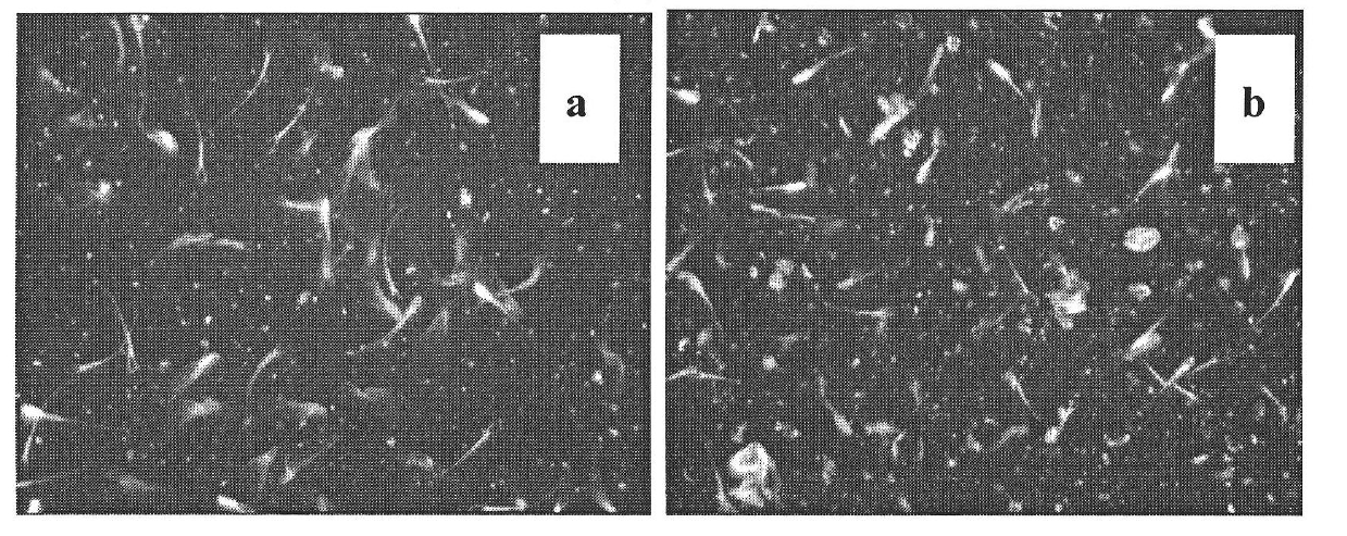 Novel preparation method of yolk diluent