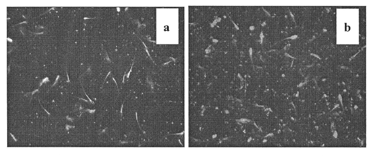 Novel preparation method of yolk diluent