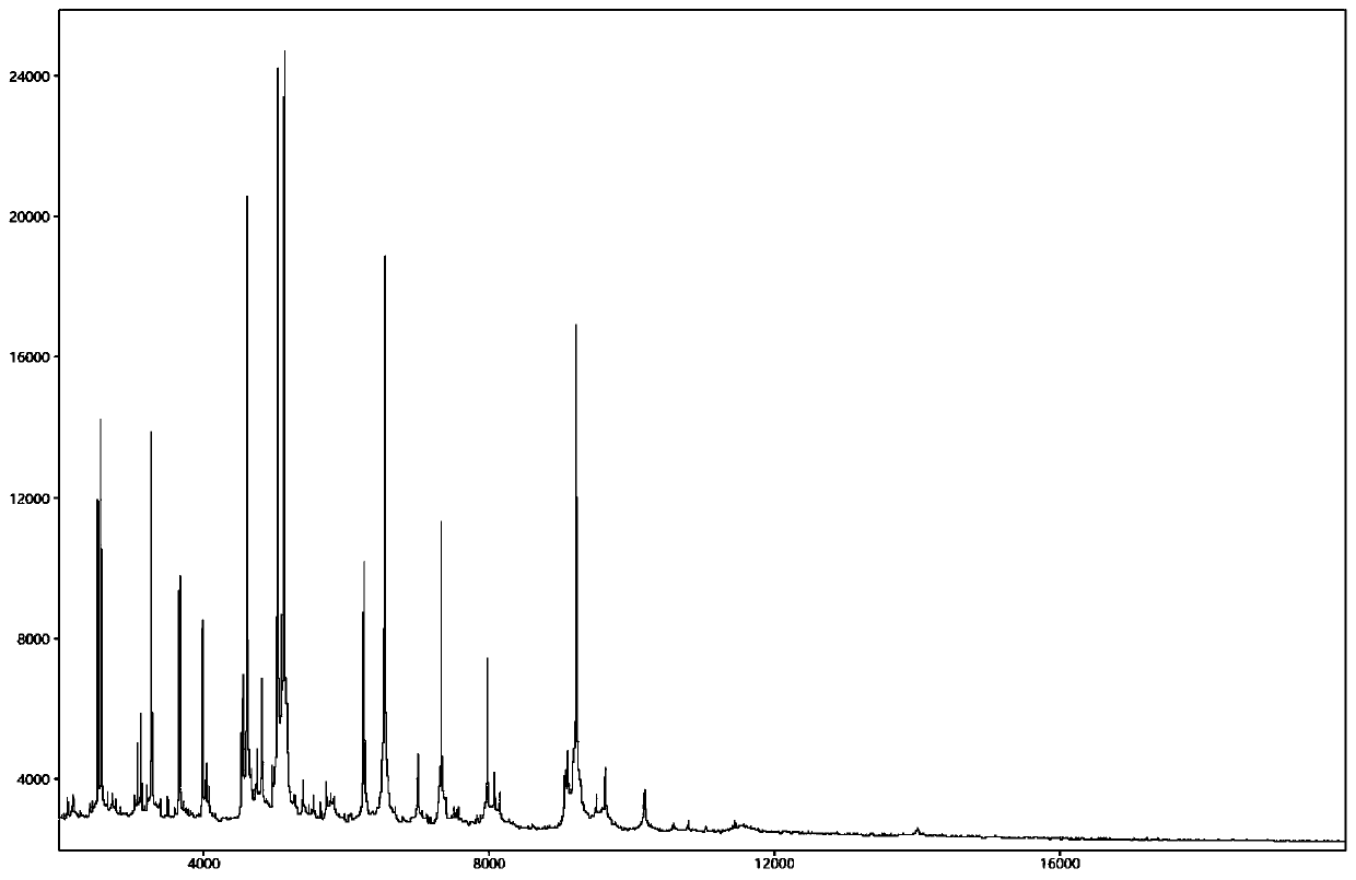 Database establishment method and identification method of BALDI-TOF MS strain