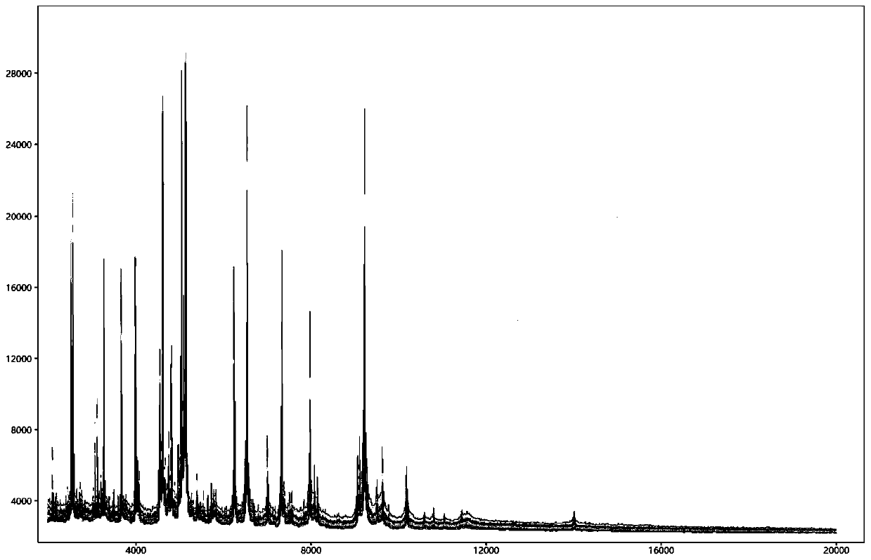 Database establishment method and identification method of BALDI-TOF MS strain