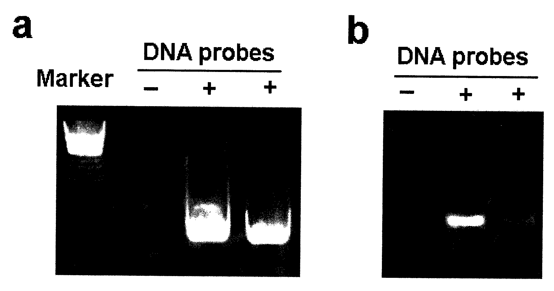 Method for simply and quickly preparing ready-to-use esiRNA