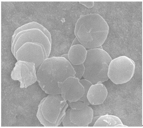 Preparation method of normal-temperature desulfurizing agent