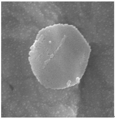 Preparation method of normal-temperature desulfurizing agent