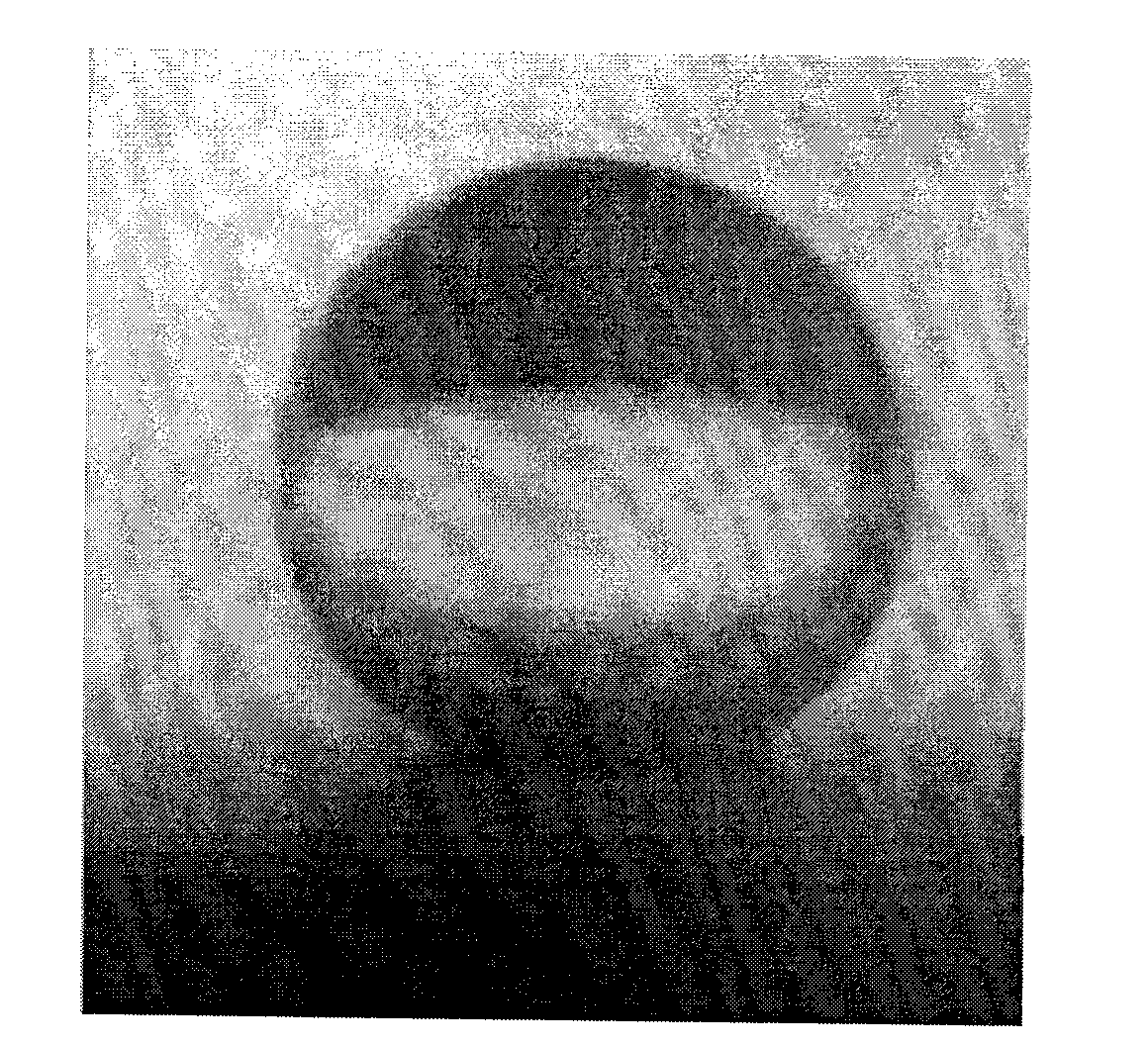 PbO2 electrode with high oxygen evolution potential and long service life and preparation method thereof