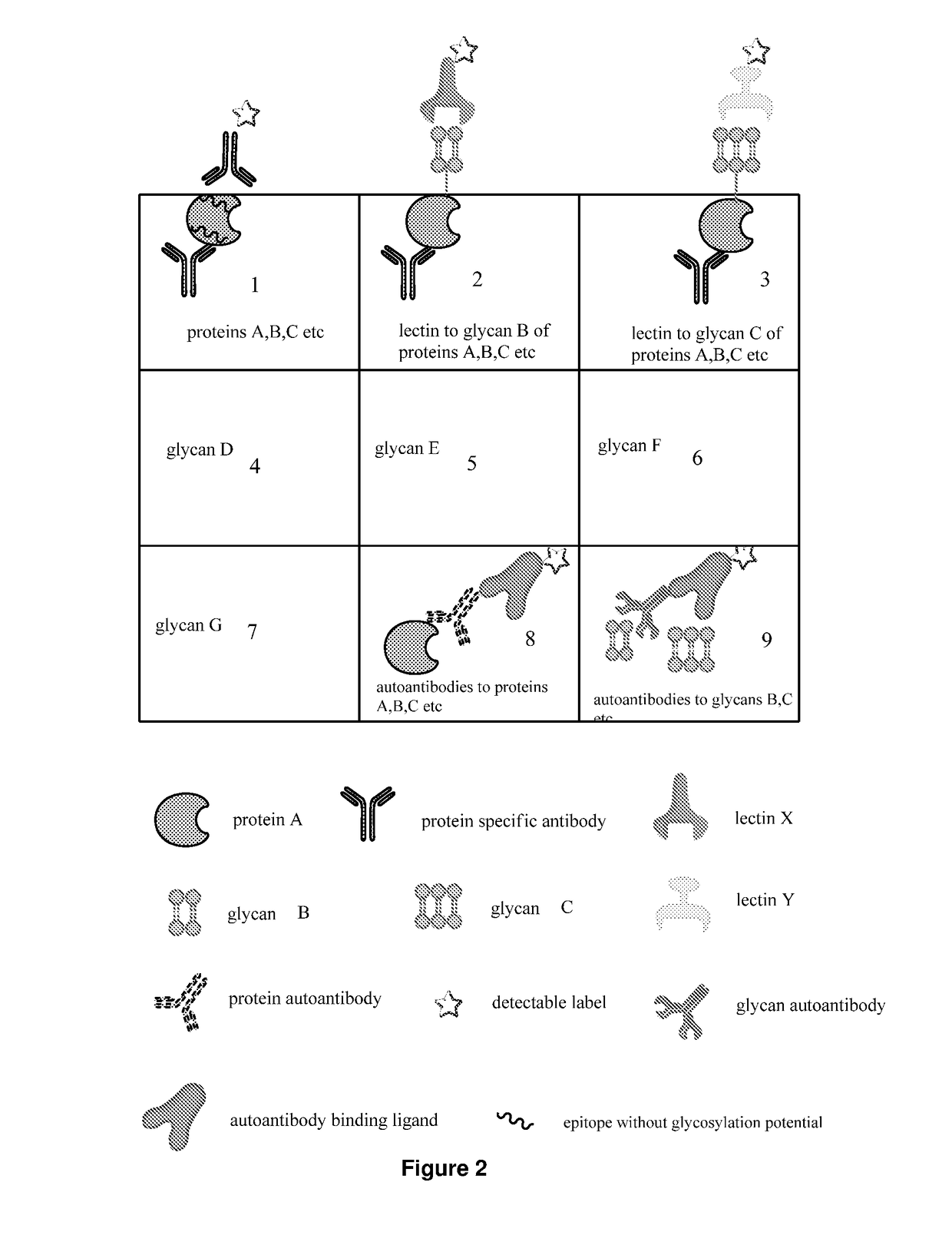 Determination of glycosylation signature