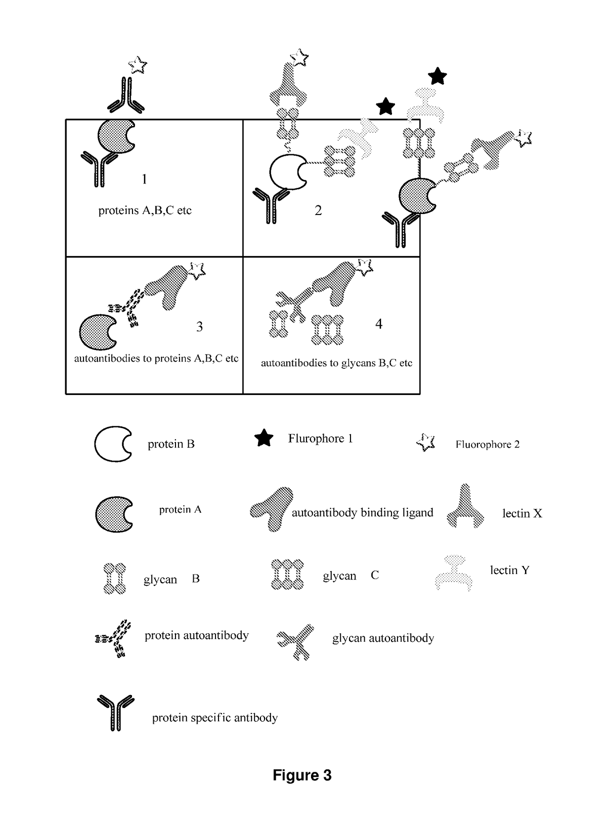 Determination of glycosylation signature