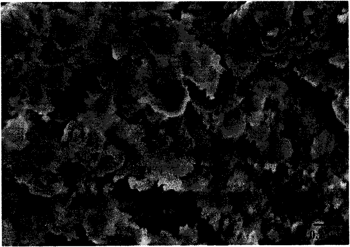 Method for preparing phacellite by using coal ash as raw material