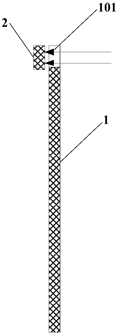 Display substrate and display device