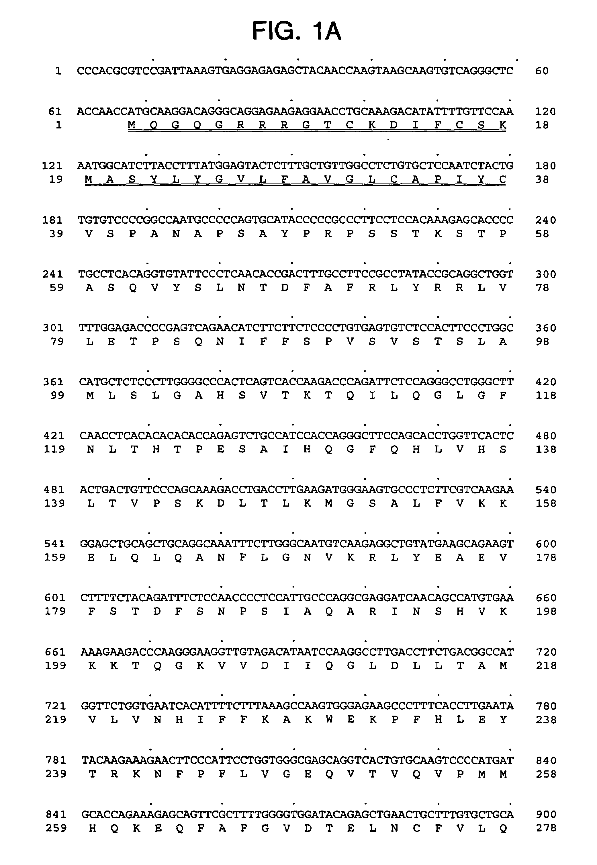 Polynucleotide encoding a novel human serpin secreted from lymphoid cells, LSI-01