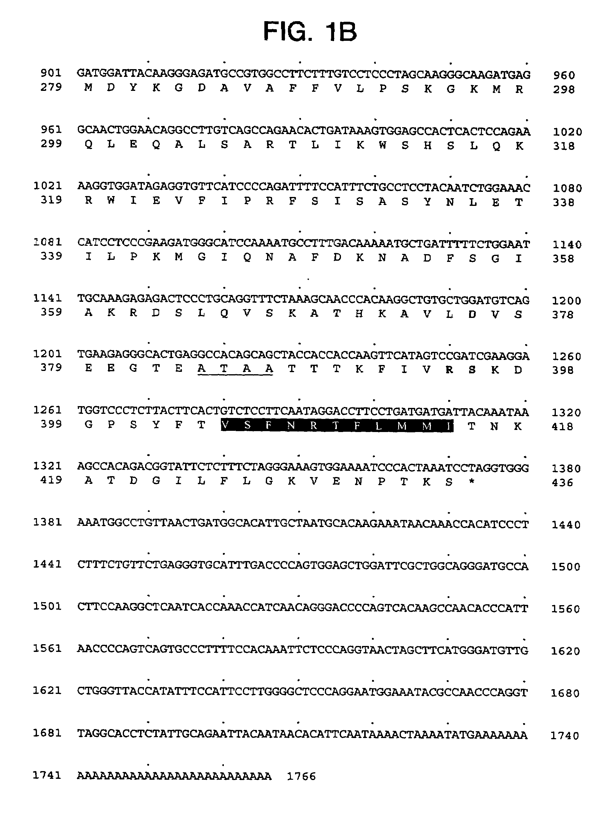 Polynucleotide encoding a novel human serpin secreted from lymphoid cells, LSI-01