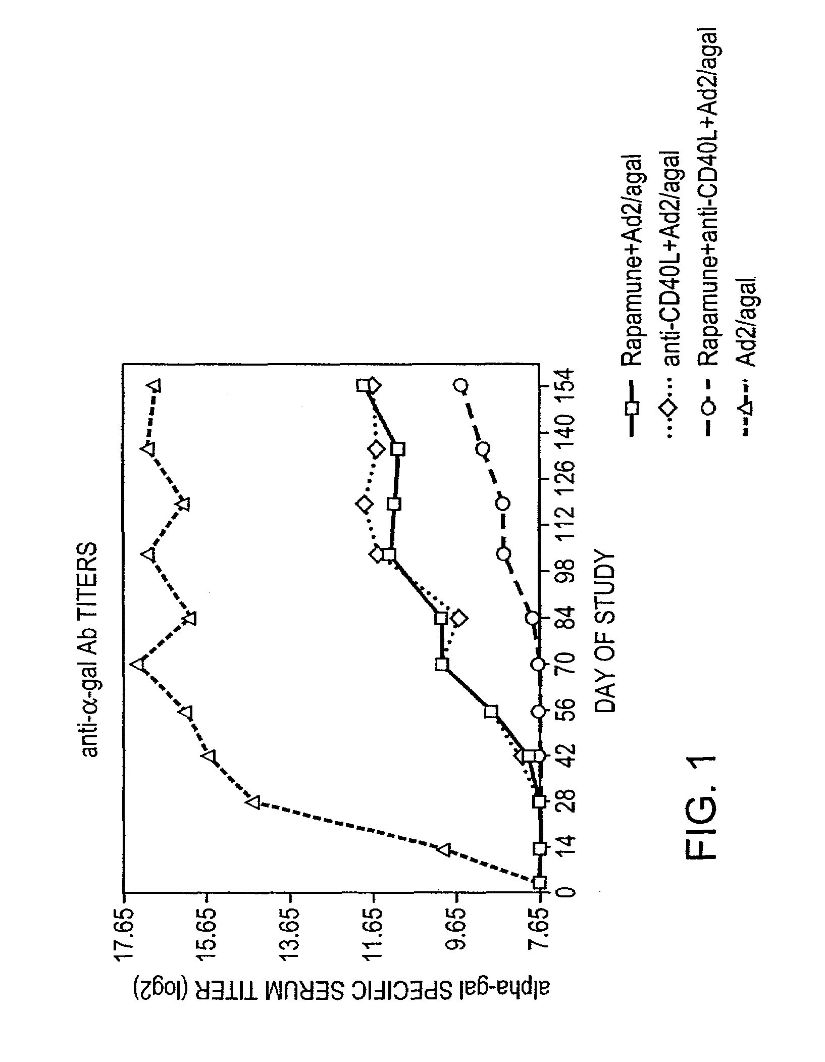 Use of rapamycin to inhibit immune response and induce tolerance to gene therapy vector and encoded transgene products