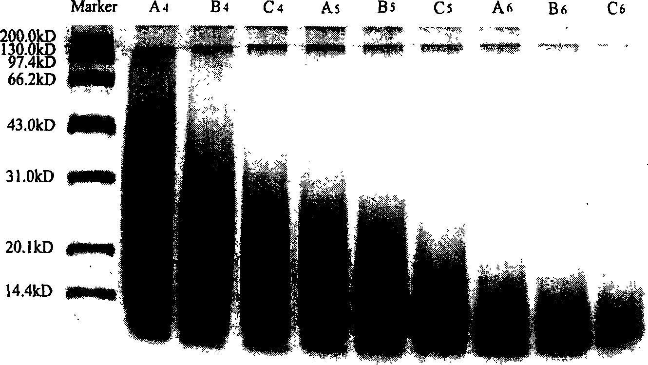 Production method of water soluble sericin