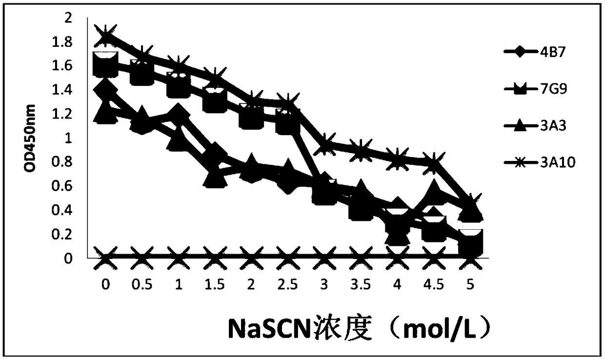 Hybridoma cell line secreting foot-and-mouth disease virus non-structural protein monoclonal antibody 3A10, and application thereof