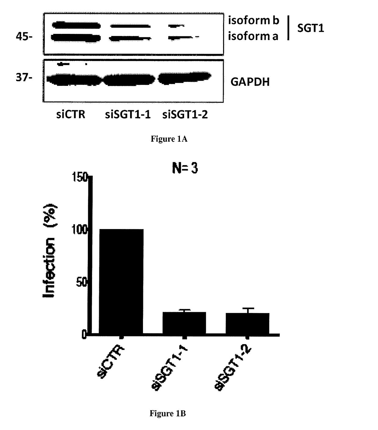 Methods and Pharmaceutical Compositions for Treating Human Immunodeficiency Virus Type 1 (HIV-1) Infections