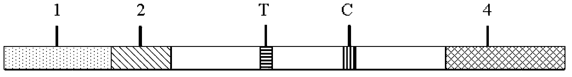 Procalcitonin detection test strip and preparation method thereof