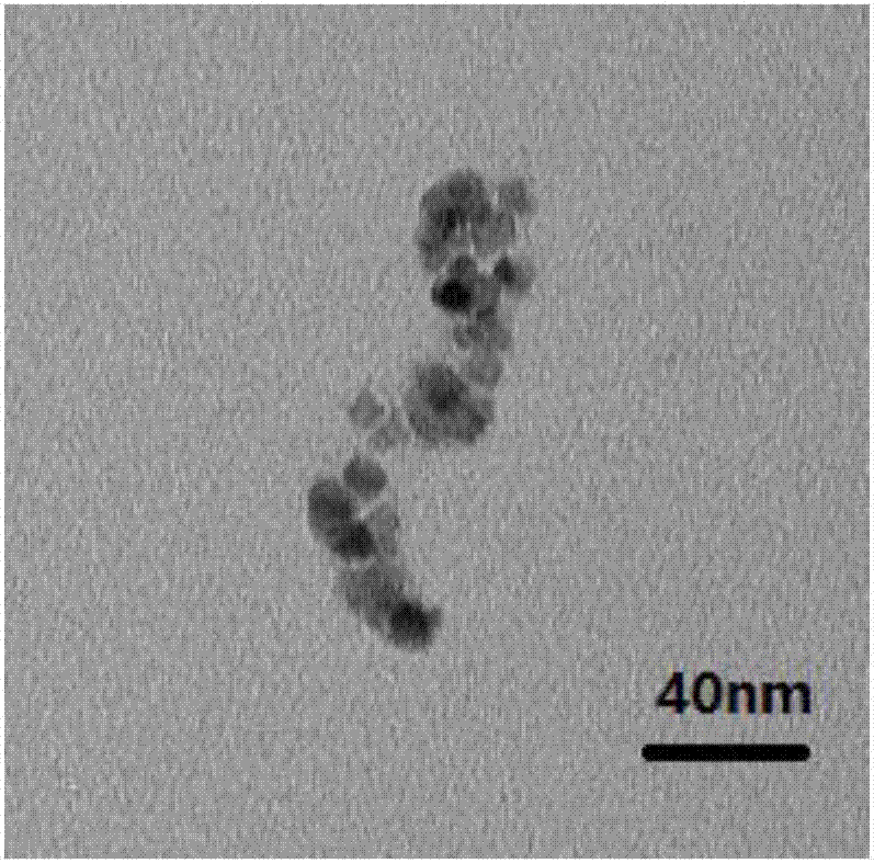 Fe3O4/octreotide modified nano-liposome and preparing method thereof