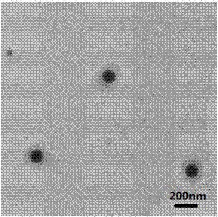 Fe3O4/octreotide modified nano-liposome and preparing method thereof