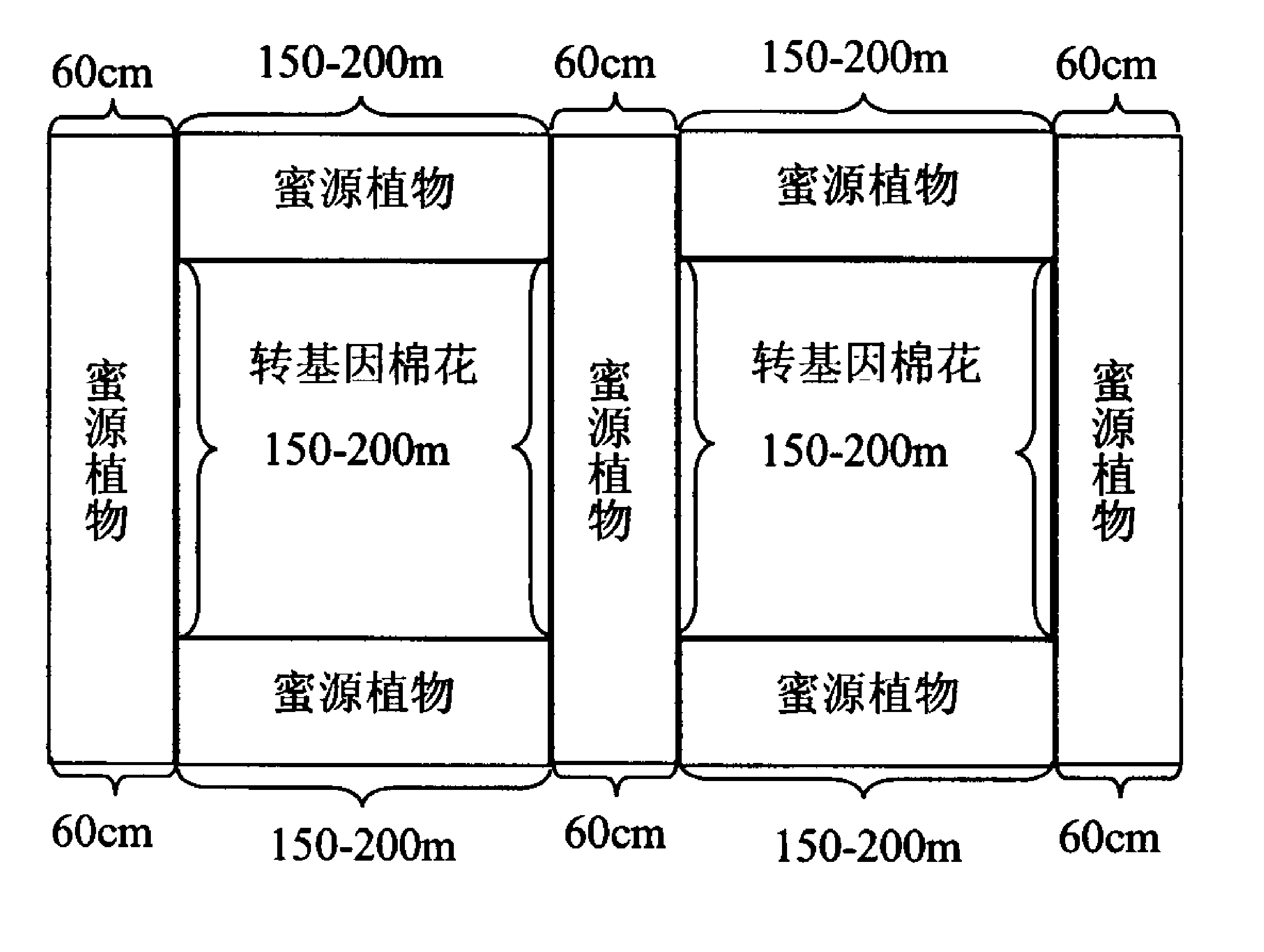 Method for preventing transgenic cotton from gene flow by using nectariferous plant