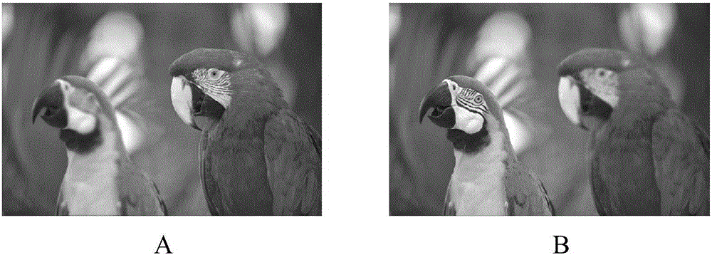 Discrete orthogonal polynomial transformation-based multi-focus image fusion method