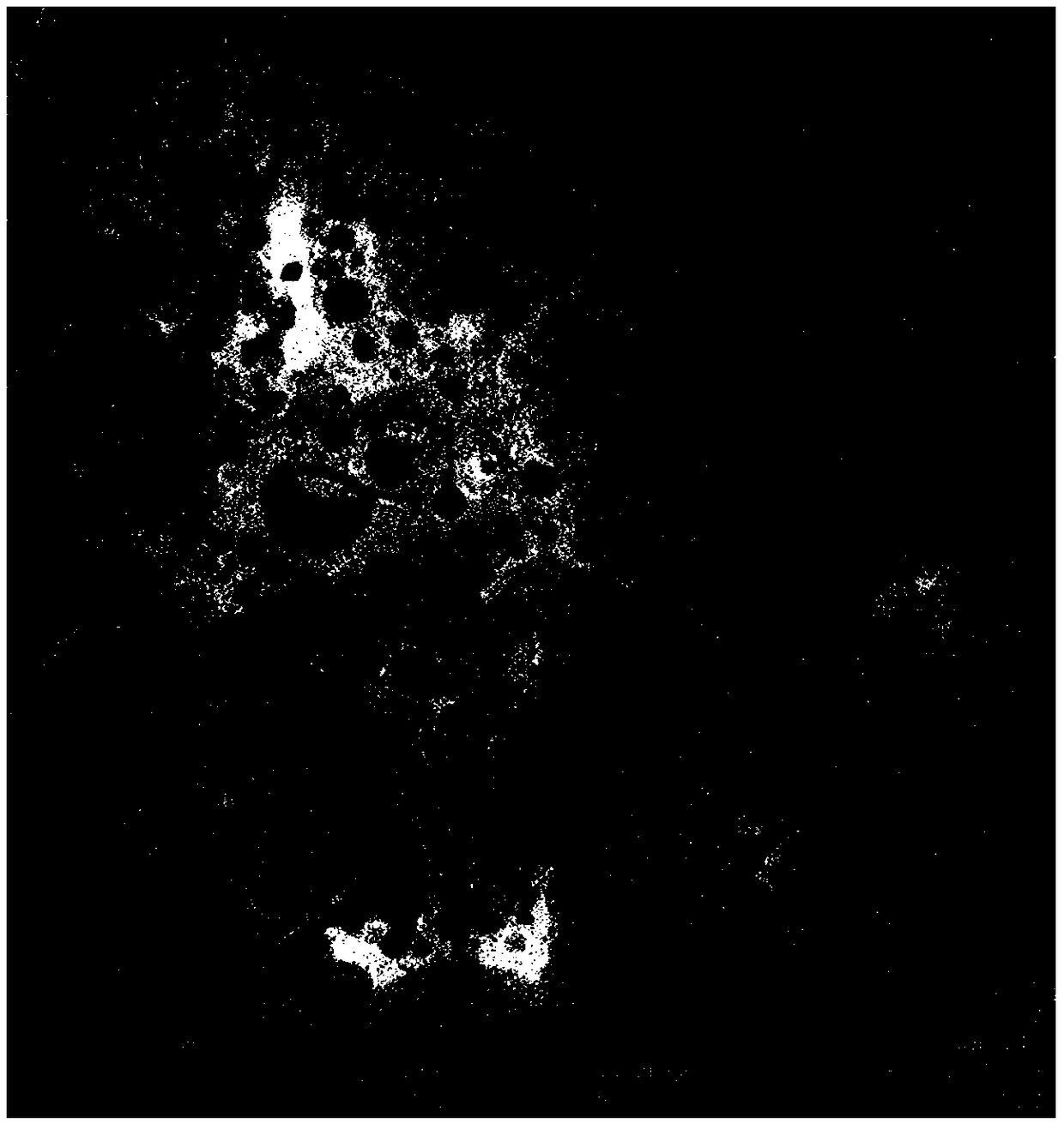 High-molecular foaming material and preparation method thereof