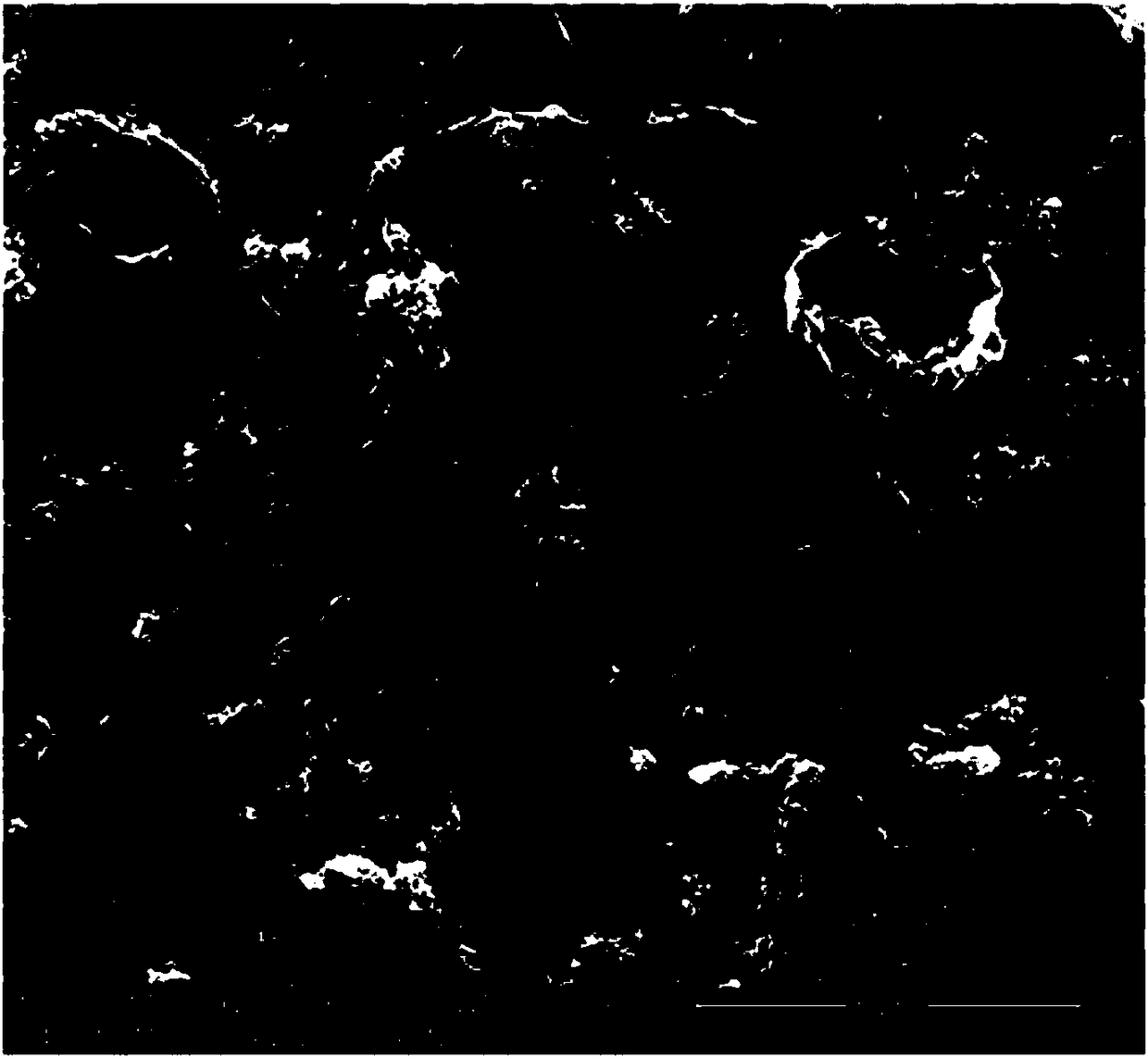 Composite material for in-situ growth of ternary cobalt nickel molybdenum oxide on graphene and two-step synthesis method thereof