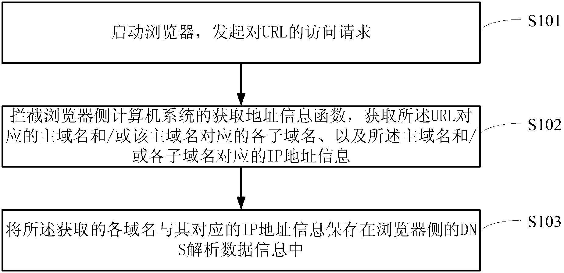 Browser and method for acquiring domain name system (DNS) resolving data