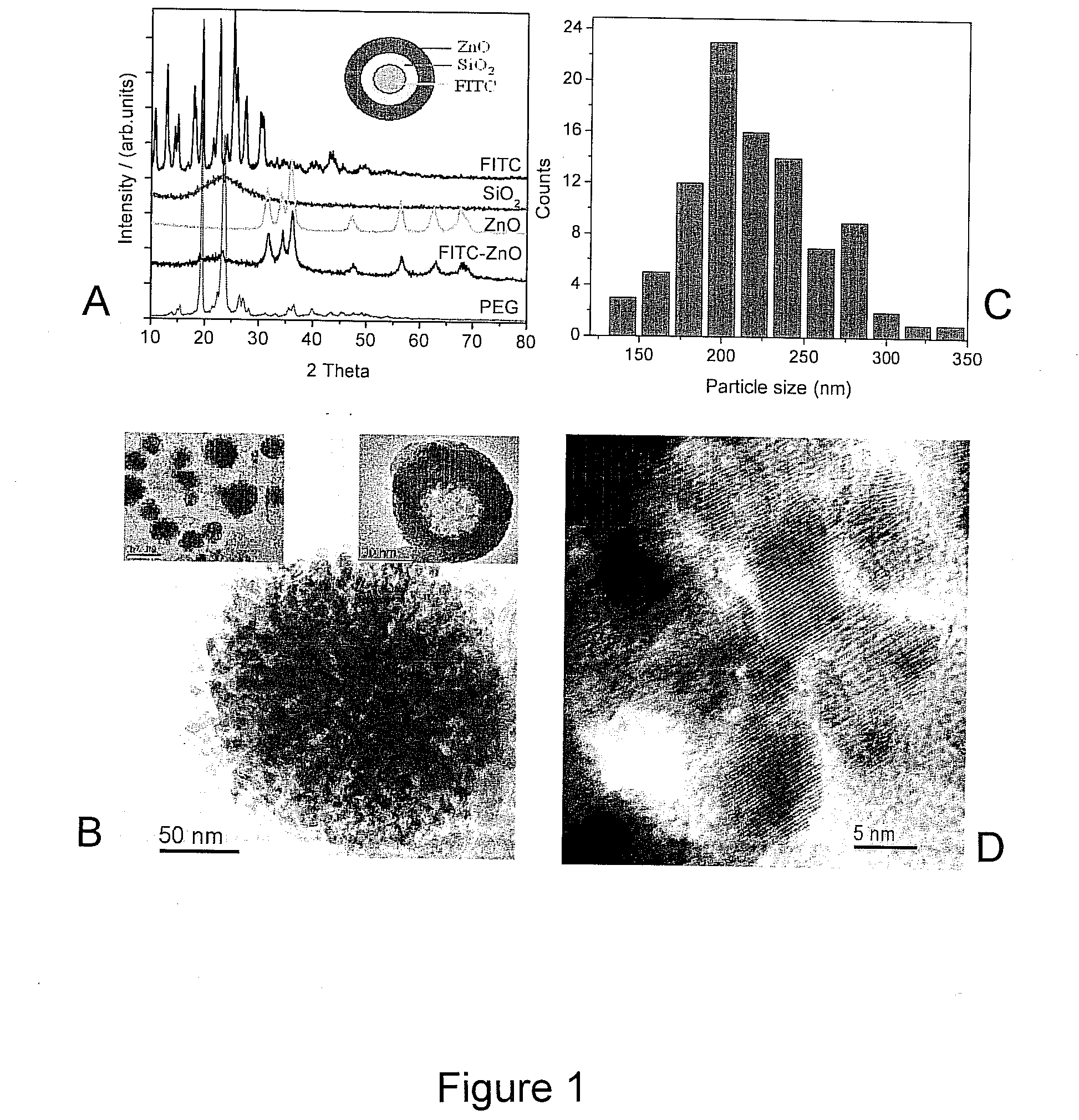 FLUORESCENT PARTICLES COMPRISING NANOSCALE ZnO LAYER AND EXHIBITING CELL-SPECIFIC TOXICITY