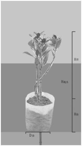 Method for planting mangrove forest in deep water bare beach