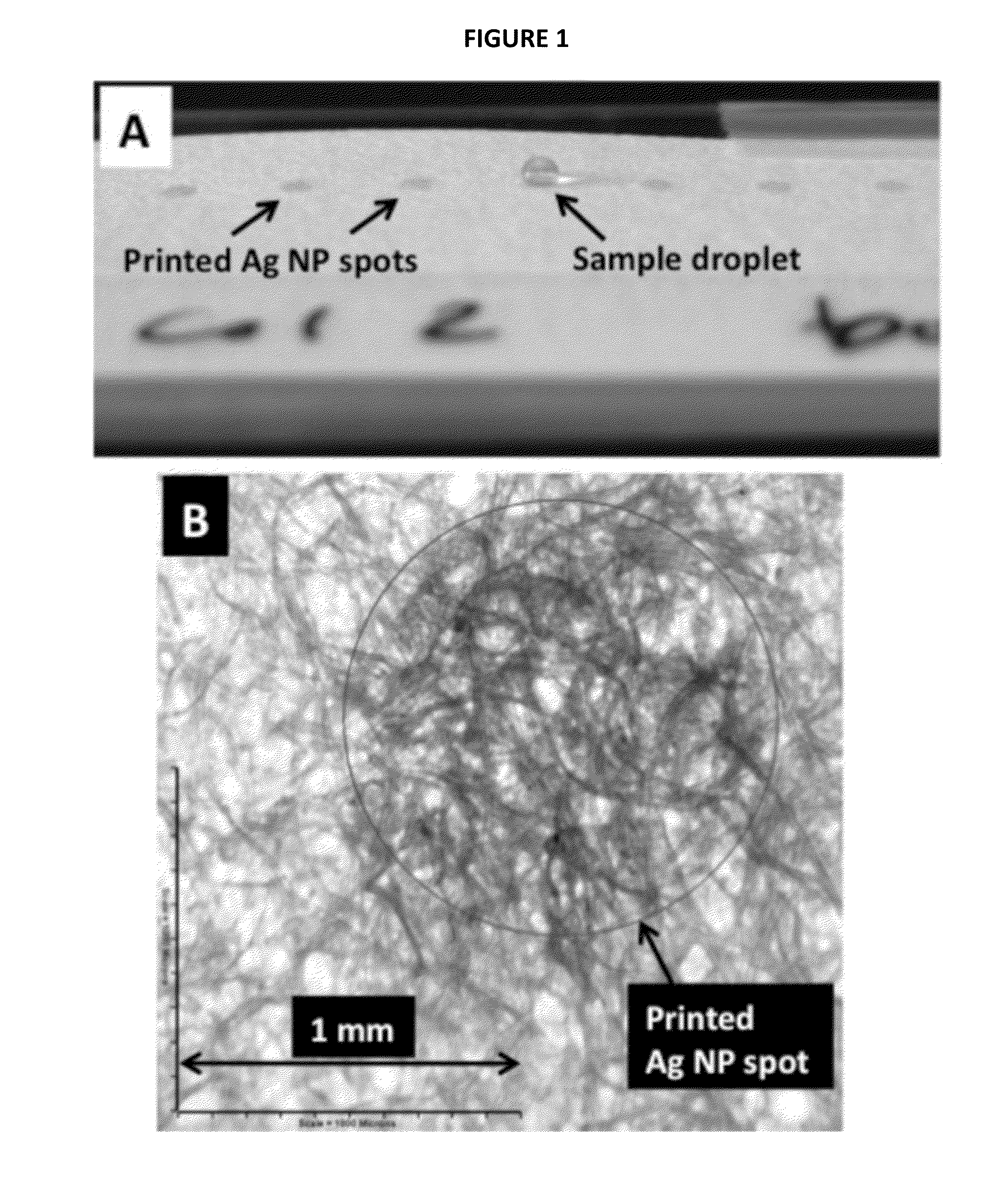 Porous SERS Analytical Devices and Methods of Detecting a Target Analyte