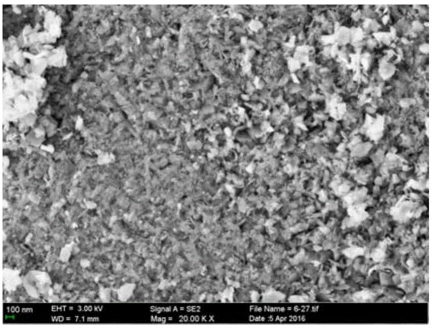 Device and method for preparing magnesium hydroxide through ultrasonic-assisted magnesium oxide efficient hydration