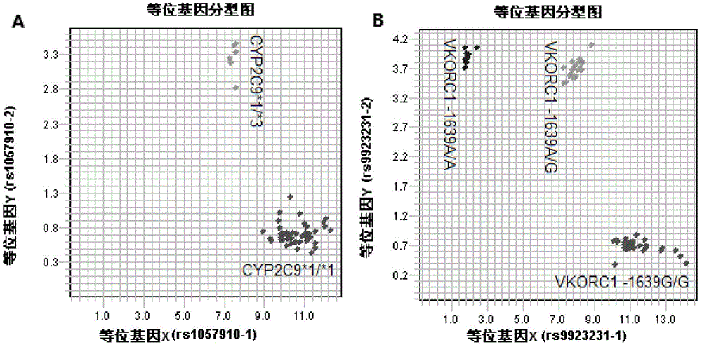 Kit for rapidly detecting warfarin individualized medication related gene SNP sites, and its detection method