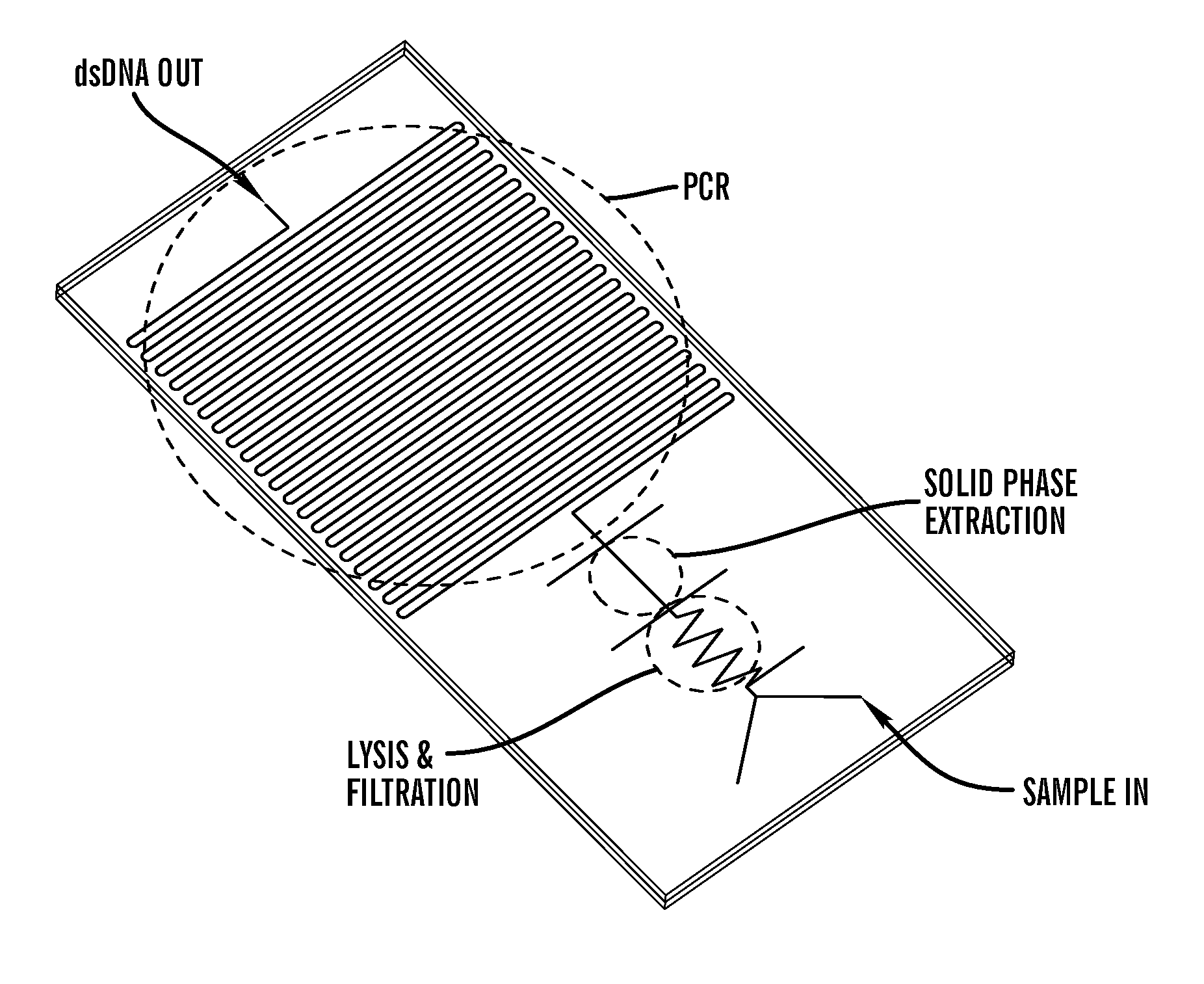 Method for bacterial lysis