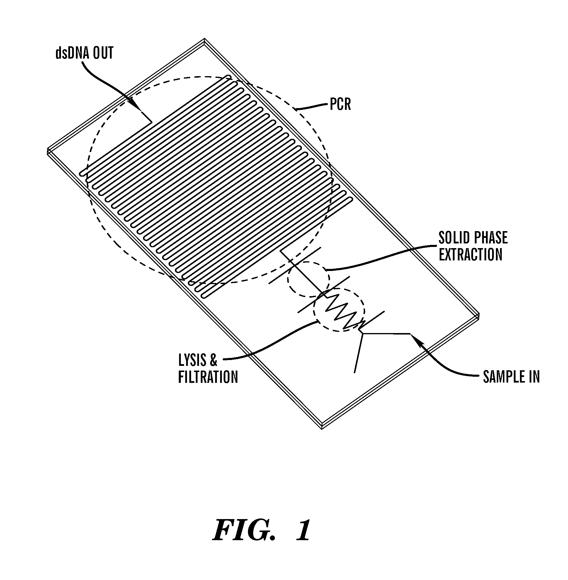 Method for bacterial lysis